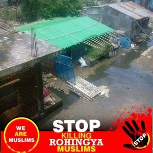 Meet your Posher, Mohamad